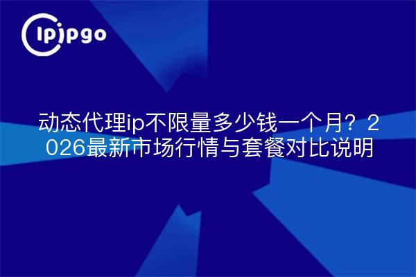 动态代理ip不限量多少钱一个月?2026最新市场行情与套餐对比说明