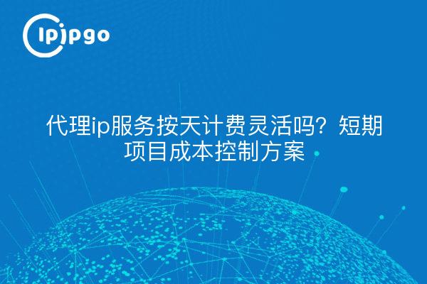 代理ip服务按天计费灵活吗?短期项目成本控制方案