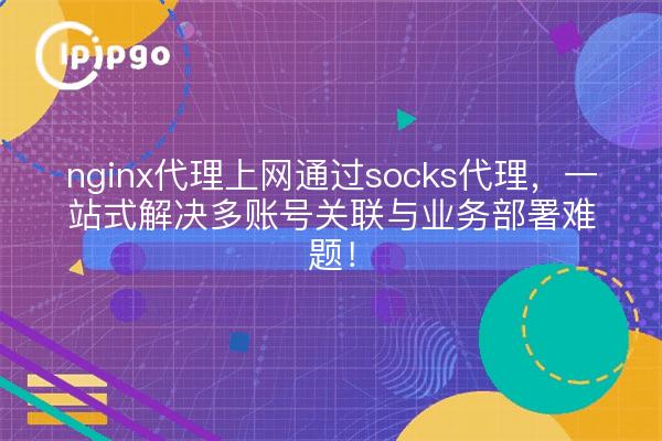 nginx代理上网通过socks代理,一站式解决多账号关联与业务部署难题!