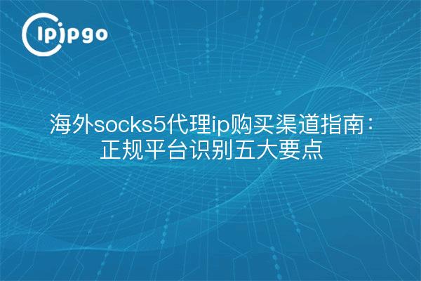 海外socks5代理ip购买渠道指南:正规平台识别五大要点