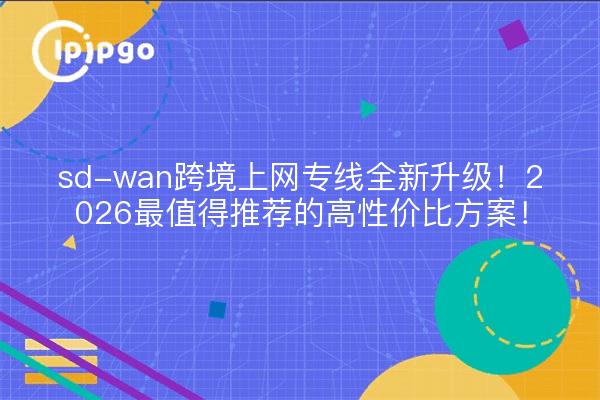 sd-wan跨境上网专线全新升级！2026最值得推荐的高性价比方案！