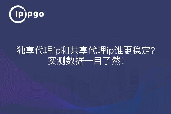 独享代理ip和共享代理ip谁更稳定?实测数据一目了然!