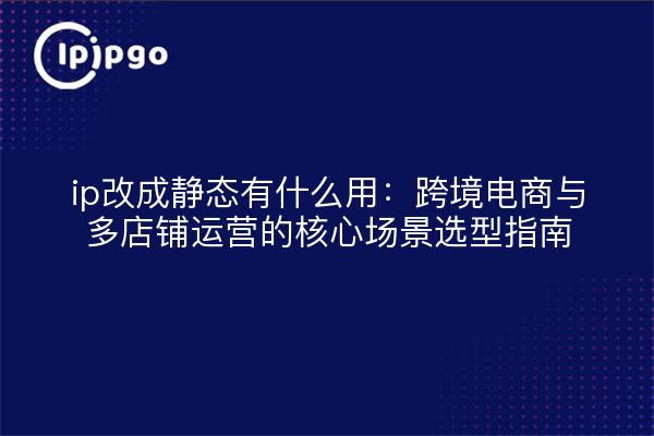 ip改成静态有什么用：跨境电商与多店铺运营的核心场景选型指南