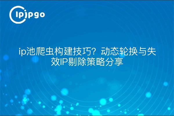 ip池爬虫构建技巧?动态轮换与失效IP剔除策略分享