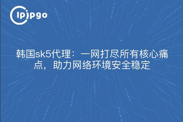 韩国sk5代理:一网打尽所有核心痛点,助力网络环境安全稳定