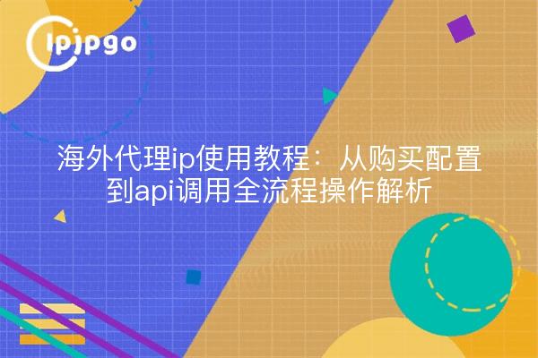 海外代理ip使用教程:从购买配置到api调用全流程操作解析