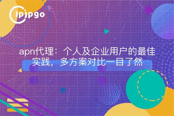 apn代理：个人及企业用户的最佳实践，多方案对比一目了然
