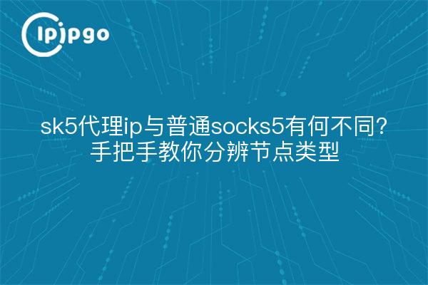 sk5代理ip与普通socks5有何不同?手把手教你分辨节点类型