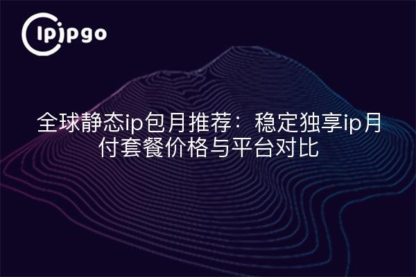 全球静态ip包月推荐:稳定独享ip月付套餐价格与平台对比
