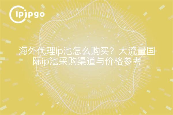 海外代理ip池怎么购买?大流量国际ip池采购渠道与价格参考