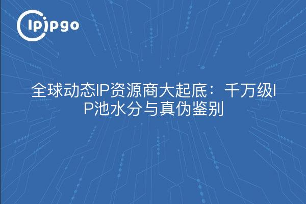 全球动态IP资源商大起底:千万级IP池水分与真伪鉴别