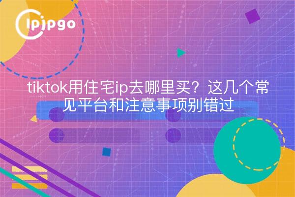 tiktok用住宅ip去哪里买?这几个常见平台和注意事项别错过
