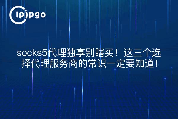 socks5代理独享别瞎买!这三个选择代理服务商的常识一定要知道!