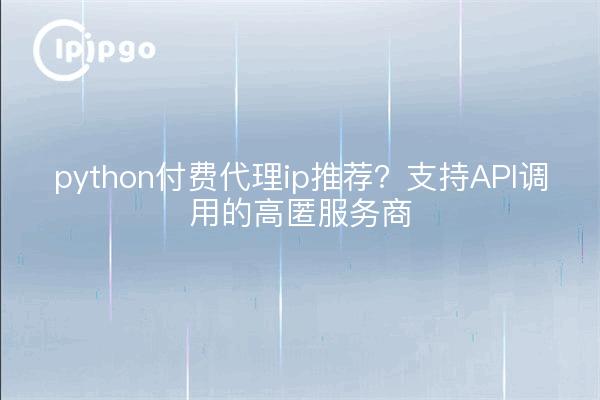 python付费代理ip推荐?支持API调用的高匿服务商