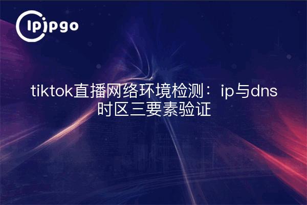 tiktok直播网络环境检测:ip与dns时区三要素验证