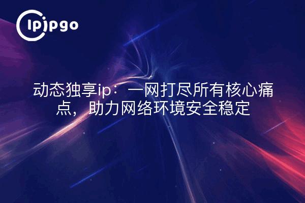 动态独享ip:一网打尽所有核心痛点,助力网络环境安全稳定