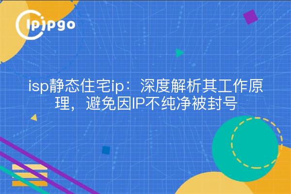 isp静态住宅ip:深度解析其工作原理,避免因IP不纯净被封号