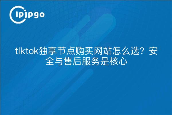tiktok独享节点购买网站怎么选？安全与售后服务是核心