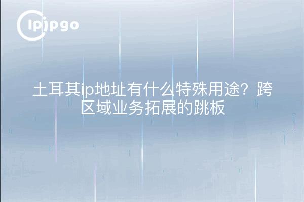 土耳其ip地址有什么特殊用途？跨区域业务拓展的跳板