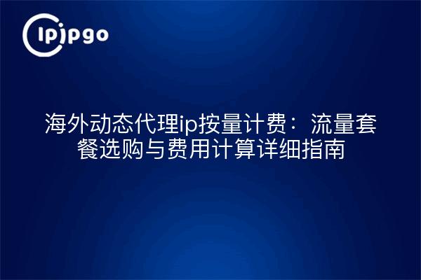 海外动态代理ip按量计费:流量套餐选购与费用计算详细指南