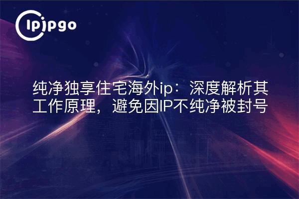 纯净独享住宅海外ip:深度解析其工作原理,避免因IP不纯净被封号