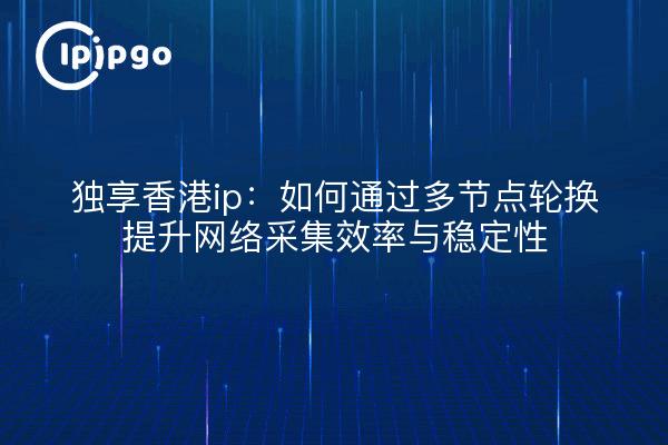 独享香港ip:如何通过多节点轮换提升网络采集效率与稳定性