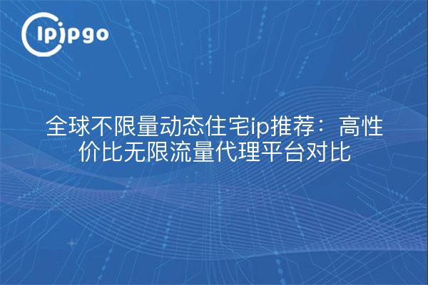 全球不限量动态住宅ip推荐:高性价比无限流量代理平台对比