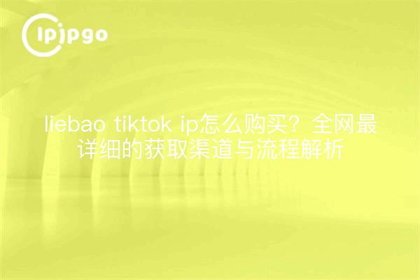 liebao tiktok ip怎么购买?全网最详细的获取渠道与流程解析