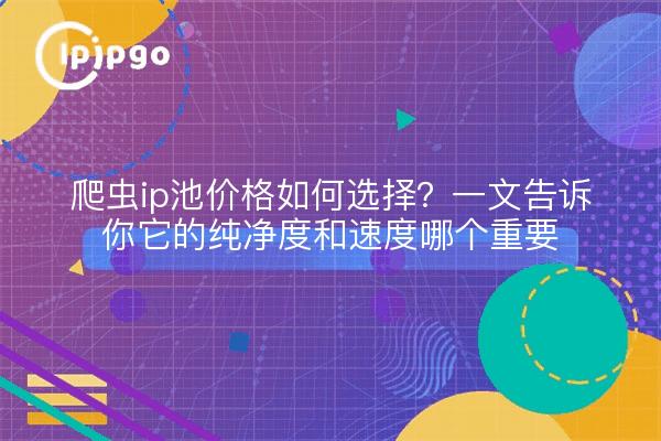 爬虫ip池价格如何选择？一文告诉你它的纯净度和速度哪个重要