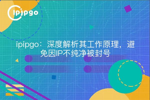 ipipgo:深度解析其工作原理,避免因IP不纯净被封号