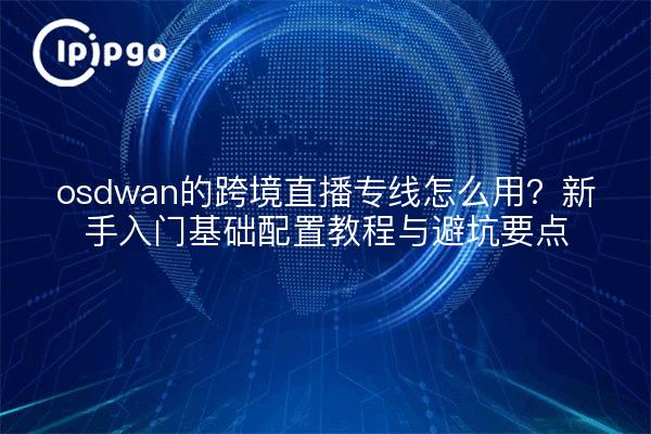 osdwan的跨境直播专线怎么用？新手入门基础配置教程与避坑要点