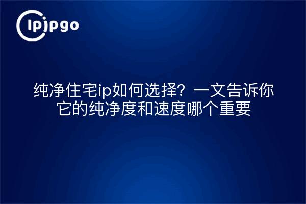 纯净住宅ip如何选择？一文告诉你它的纯净度和速度哪个重要