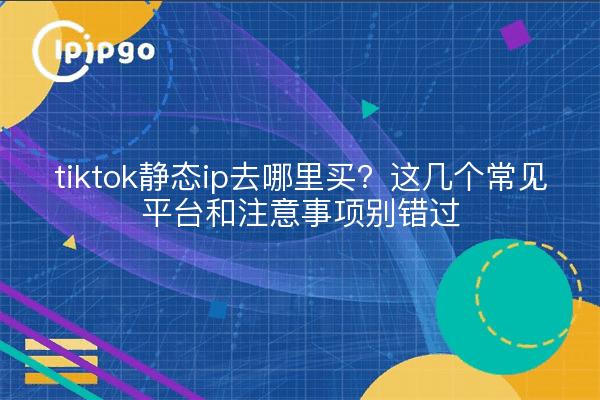 tiktok静态ip去哪里买?这几个常见平台和注意事项别错过