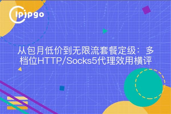 从包月低价到无限流套餐定级：多档位HTTP/Socks5代理效用横评