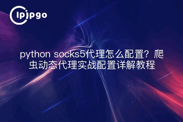 python socks5代理怎么配置?爬虫动态代理实战配置详解教程
