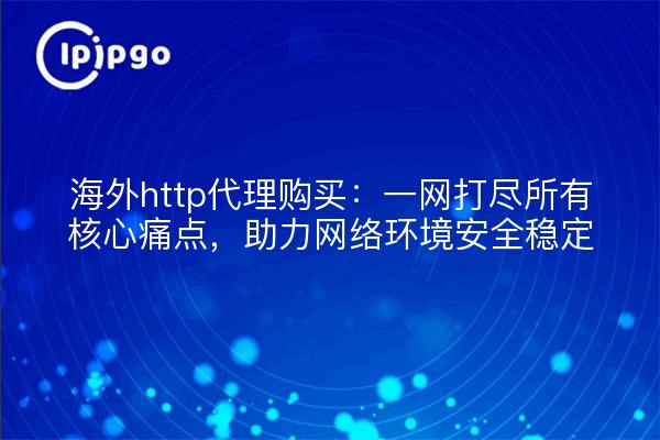 海外http代理购买：一网打尽所有核心痛点，助力网络环境安全稳定