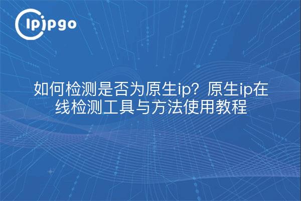 如何检测是否为原生ip?原生ip在线检测工具与方法使用教程