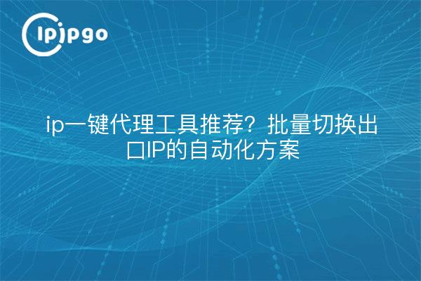 ip一键代理工具推荐?批量切换出口IP的自动化方案