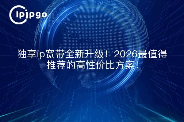独享ip宽带全新升级！2026最值得推荐的高性价比方案！