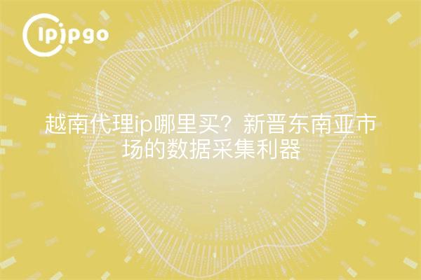越南代理ip哪里买？新晋东南亚市场的数据采集利器