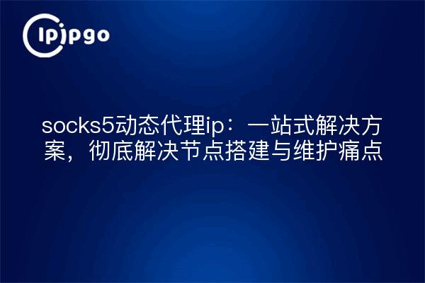 socks5动态代理ip:一站式解决方案,彻底解决节点搭建与维护痛点