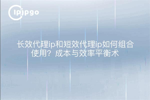 长效代理ip和短效代理ip如何组合使用？成本与效率平衡术