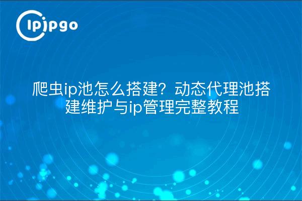 爬虫ip池怎么搭建?动态代理池搭建维护与ip管理完整教程