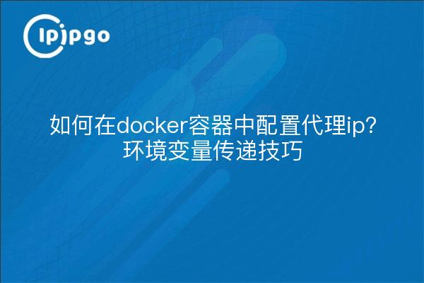 如何在docker容器中配置代理ip？环境变量传递技巧