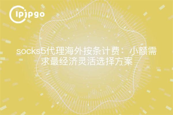 socks5代理海外按条计费:小额需求最经济灵活选择方案