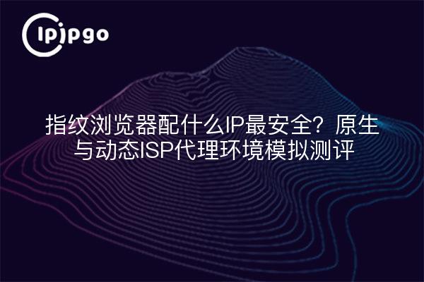 指纹浏览器配什么IP最安全?原生与动态ISP代理环境模拟测评