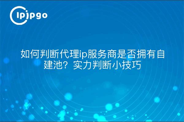 如何判断代理ip服务商是否拥有自建池?实力判断小技巧