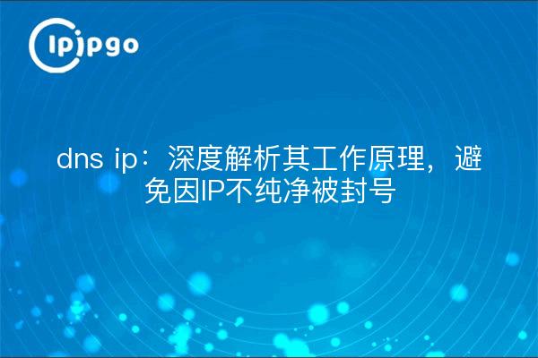dns ip:深度解析其工作原理,避免因IP不纯净被封号