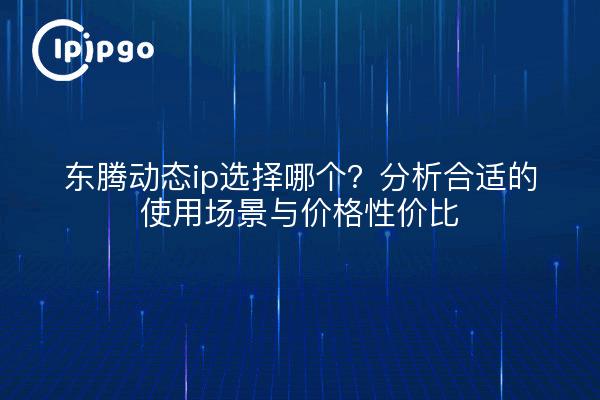 东腾动态ip选择哪个?分析合适的使用场景与价格性价比