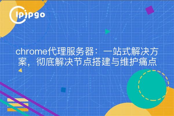chrome代理服务器:一站式解决方案,彻底解决节点搭建与维护痛点